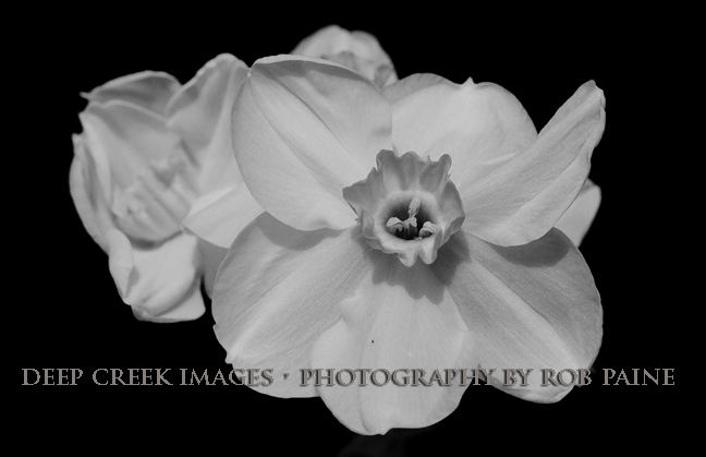   Photo by Rob Paine/Deep Creek Images/Copyright 2016