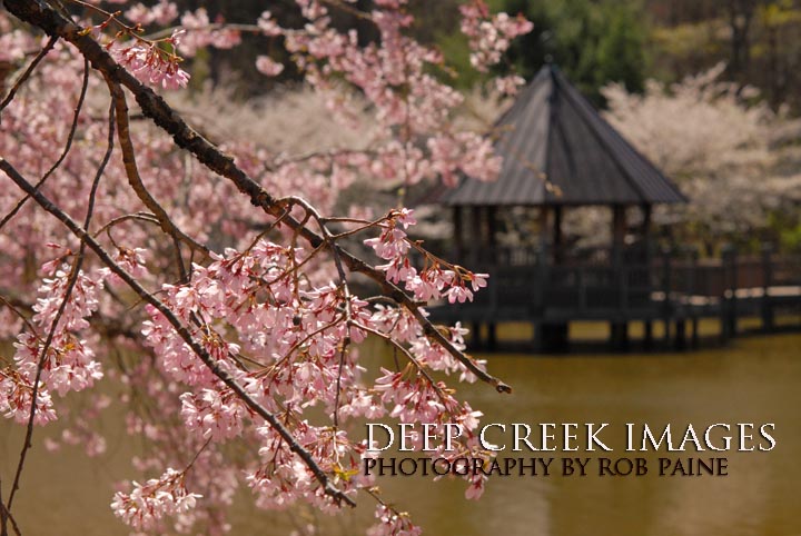 Photo by Rob Paine/Deep Creek Images/Copyright 2016