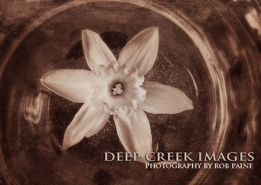   Photo by Rob Paine/Deep Creek Images/Copyright 2016