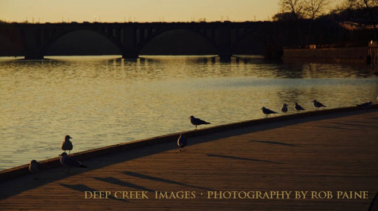  Photo by Rob Paine/Deep Creek Images/Copyright 2016