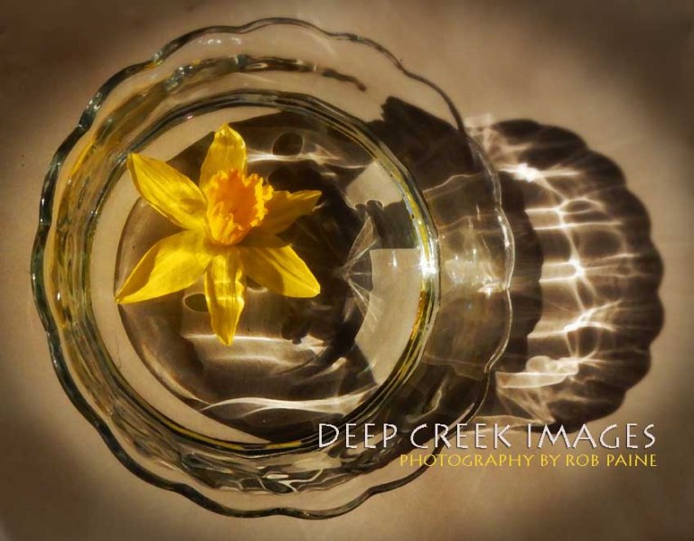  Photo by Rob Paine/Deep Creek Images/Copyright 2016