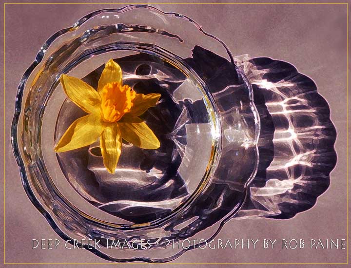   Photo by Rob Paine/Deep Creek Images/Copyright 2016