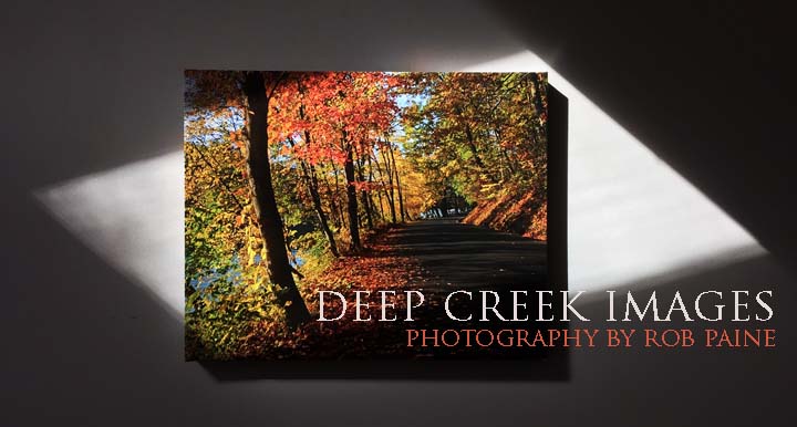  Photo by Rob Paine/Deep Creek Images/Copyright 2016