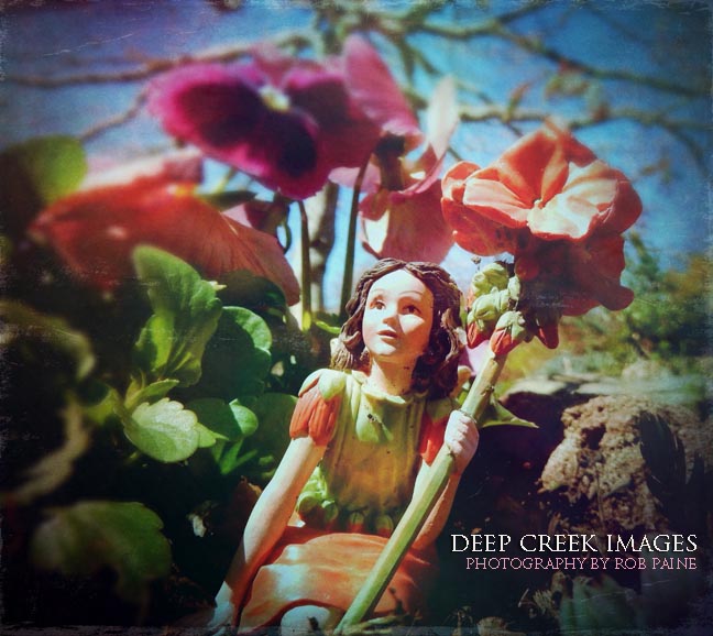   Photo by Rob Paine/Deep Creek Images/Copyright 2016