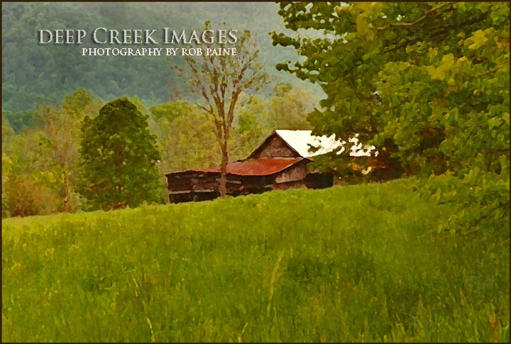   Photo by Rob Paine/Deep Creek Images/Copyright 2016