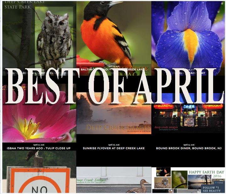  Photo by Rob Paine/Deep Creek Images/Copyright 2016