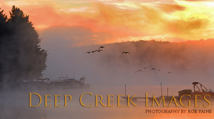  Photo by Rob Paine/Deep Creek Images/Copyright 2016