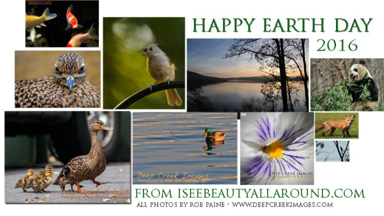   Photo by Rob Paine/Deep Creek Images/Copyright 2016