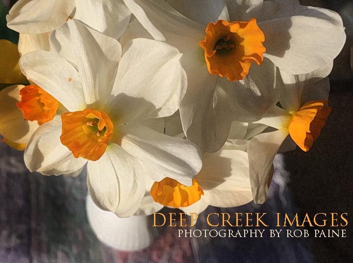  Photo by Rob Paine/Deep Creek Images/Copyright 2016