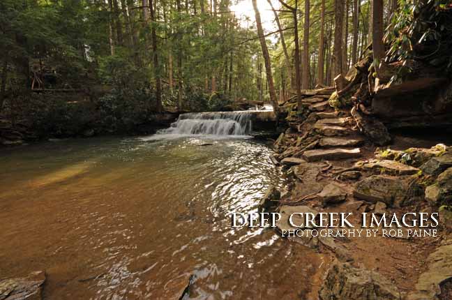  Photo by Rob Paine/Deep Creek Images/Copyright 2016