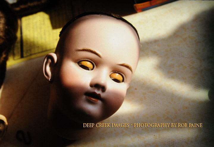  Photo by Rob Paine/Deep Creek Images/Copyright 2016