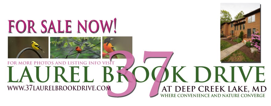To easily visit the home page for 37 Laurel Brook Drive please double click on this photo!
