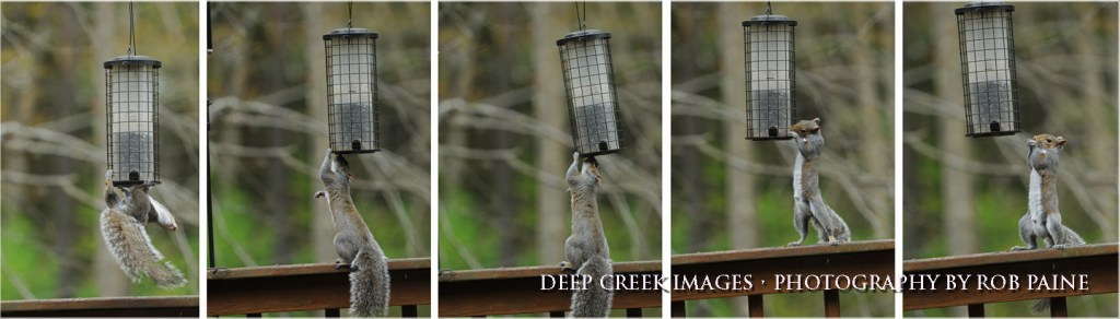 Persistence Pays Off