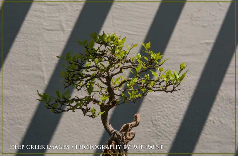  Photo by Rob Paine/Deep Creek Images/Copyright 2016