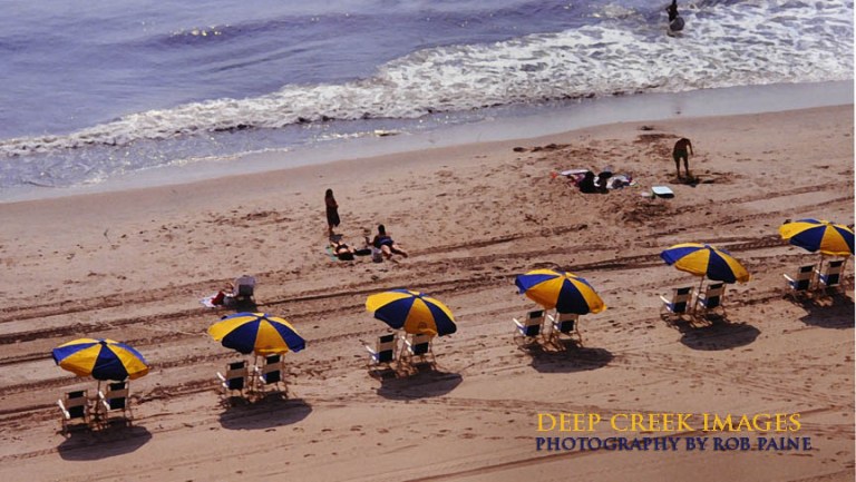  Photo by Rob Paine/Deep Creek Images/Copyright 2016