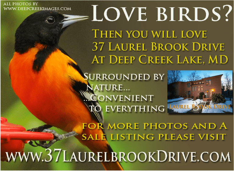 To Visit the home page for 37 Laurel Brook  please click on the Oriole!