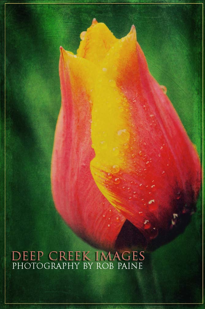  Photo by Rob Paine/Deep Creek Images/Copyright 2016