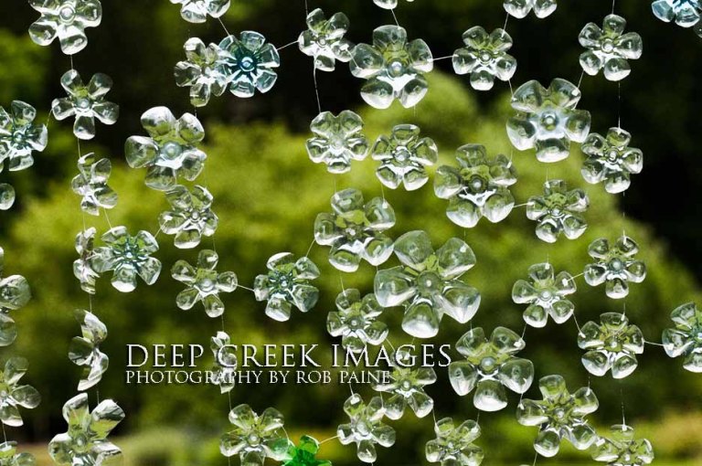 Photo by Rob Paine/Deep Creek Images/Copyright 2016