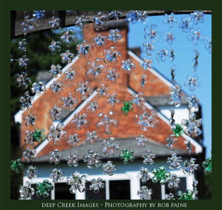 Photo by Rob Paine/Deep Creek Images/Copyright 2016