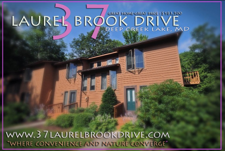 37 Laurel brook Oakland MD wb
