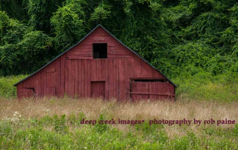  Photo by Rob Paine/Deep Creek Images/Copyright 2016