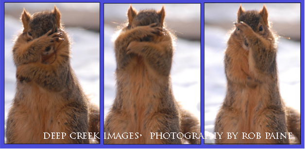  Photo by Rob Paine/Deep Creek Images/Copyright 2016