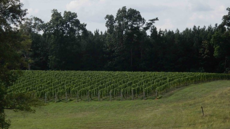  Photo by Rob Paine/Deep Creek Images/Copyright 2016