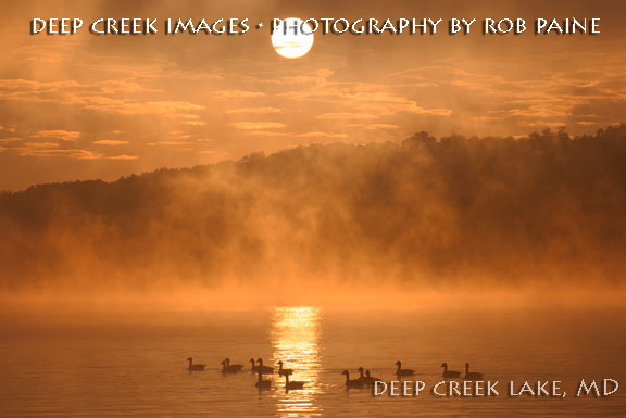  Photo by Rob Paine/Deep Creek Images/Copyright 2016