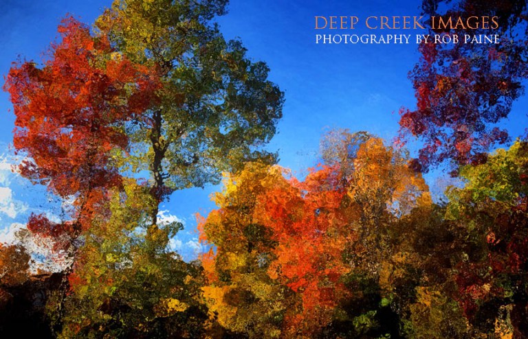  Photo by Rob Paine/Deep Creek Images/Copyright 2016