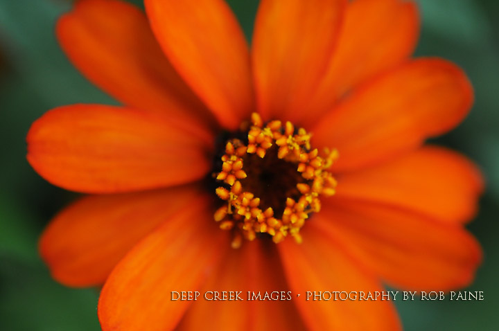  Photo by Rob Paine/Deep Creek Images/Copyright 2016