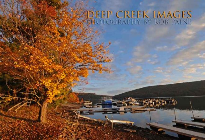  Photo by Rob Paine/Deep Creek Images/Copyright 2016
