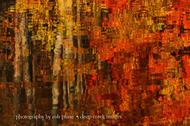  Photo by Rob Paine/Deep Creek Images/Copyright 2016