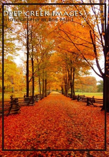  Photo by Rob Paine/Deep Creek Images/Copyright 2016