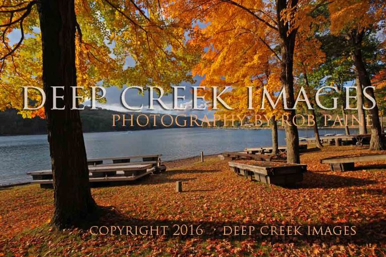  Photo by Rob Paine/Deep Creek Images/Copyright 2016