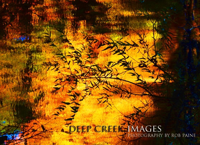  Photo by Rob Paine/Deep Creek Images/Copyright 2016