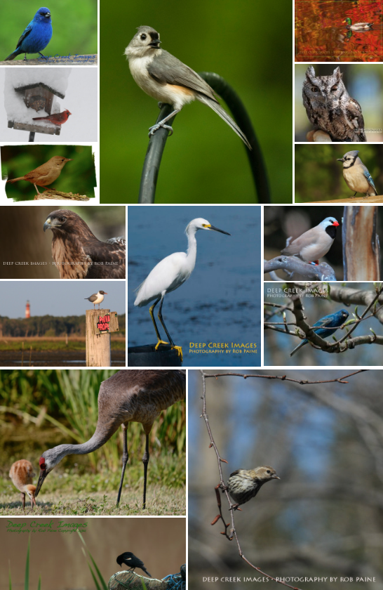 screen-shot-2016-11-23-at-1-48-47-pm