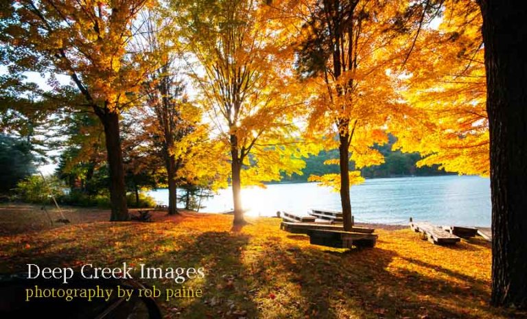  Photo by Rob Paine/Deep Creek Images/Copyright 2016