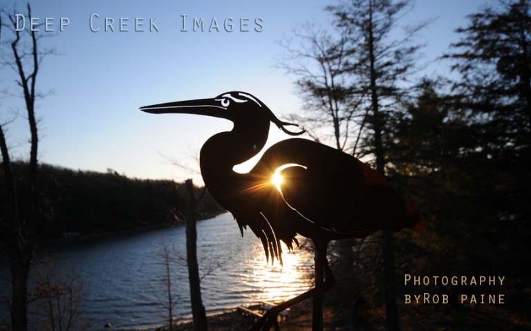 Photo by Rob Paine/Deep Creek Images/Copyright 2016