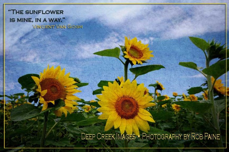  Photo by Rob Paine/Deep Creek Images/From the new book "Saying it With Flowers : Flowery Quotes by Famous People and the Flower Photos of Rob Paine, Copyright 2016