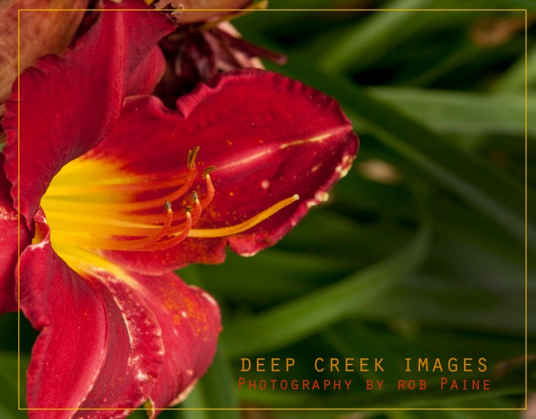  Photo by Rob Paine/Deep Creek Images/Copyright 2017