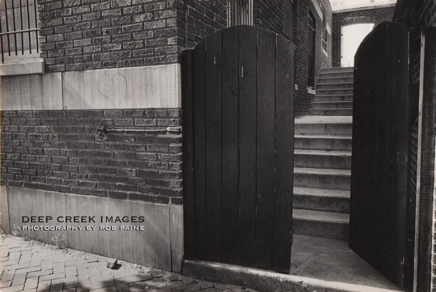 Photo by Rob Paine/Deep Creek Images/Copyright 2017