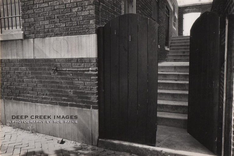 Photo by Rob Paine/Deep Creek Images/Copyright 2017