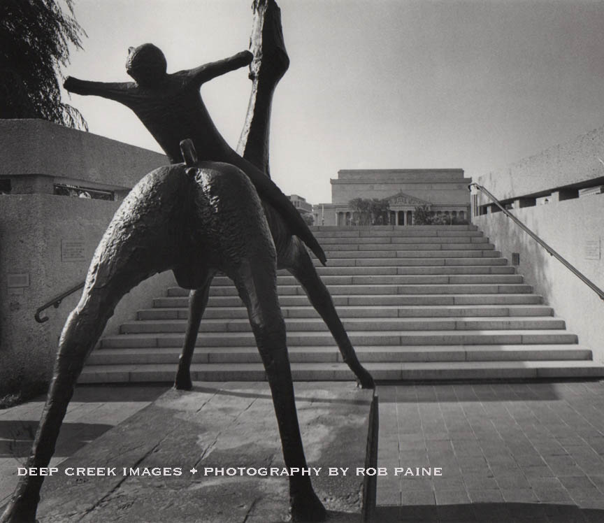 Photo by Rob Paine/Deep Creek Images/Copyright 2017