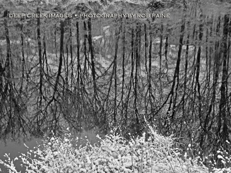 Photo by Rob Paine/Deep Creek Images/Copyright 2017