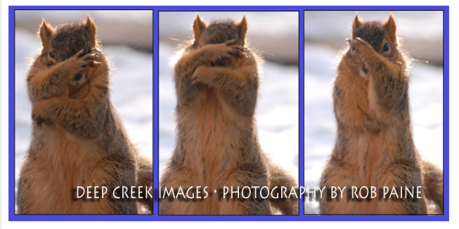 Photo by Rob Paine/Deep Creek Images/Copyright 2017